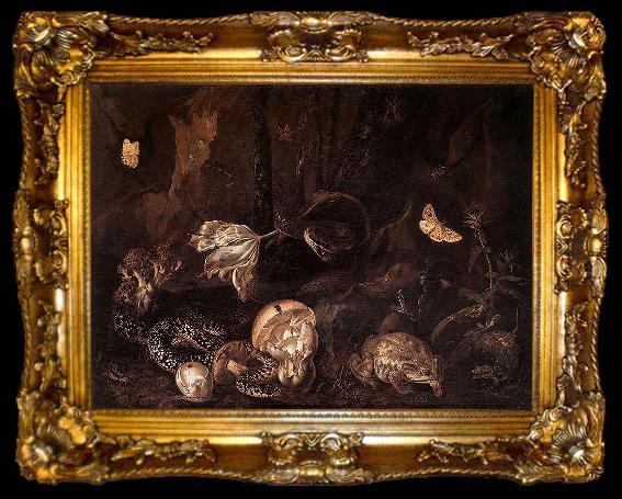 framed  Otto Marseus van Schrieck Still life with Insects and Amphibians, ta009-2
